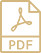 pdf.png